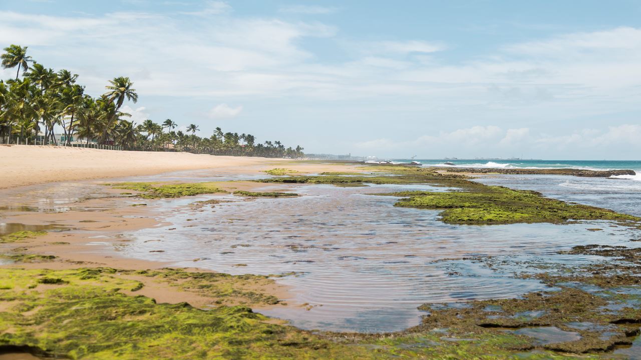 Passeio De Buggy Em Porto De Galinhas foto 2