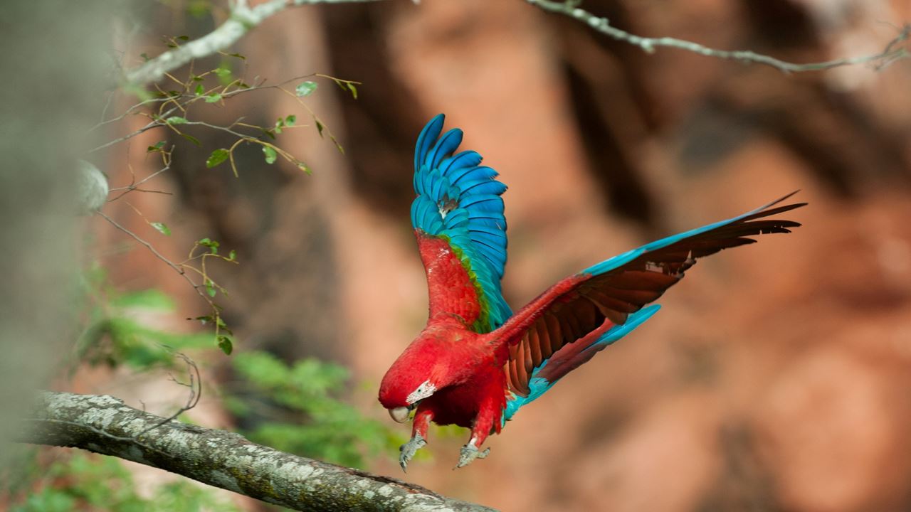 Ecoturismo Buraco Das Araras foto 5