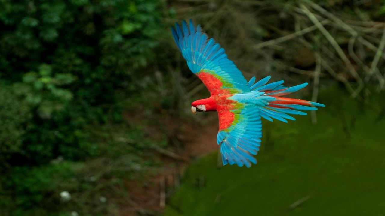 Ecoturismo Buraco Das Araras foto 4