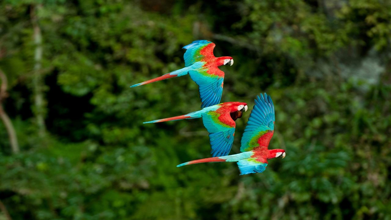 Ecoturismo Buraco Das Araras foto 9