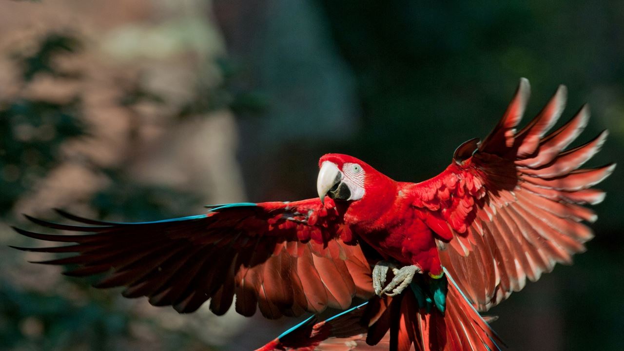 Ecoturismo Buraco Das Araras foto 6