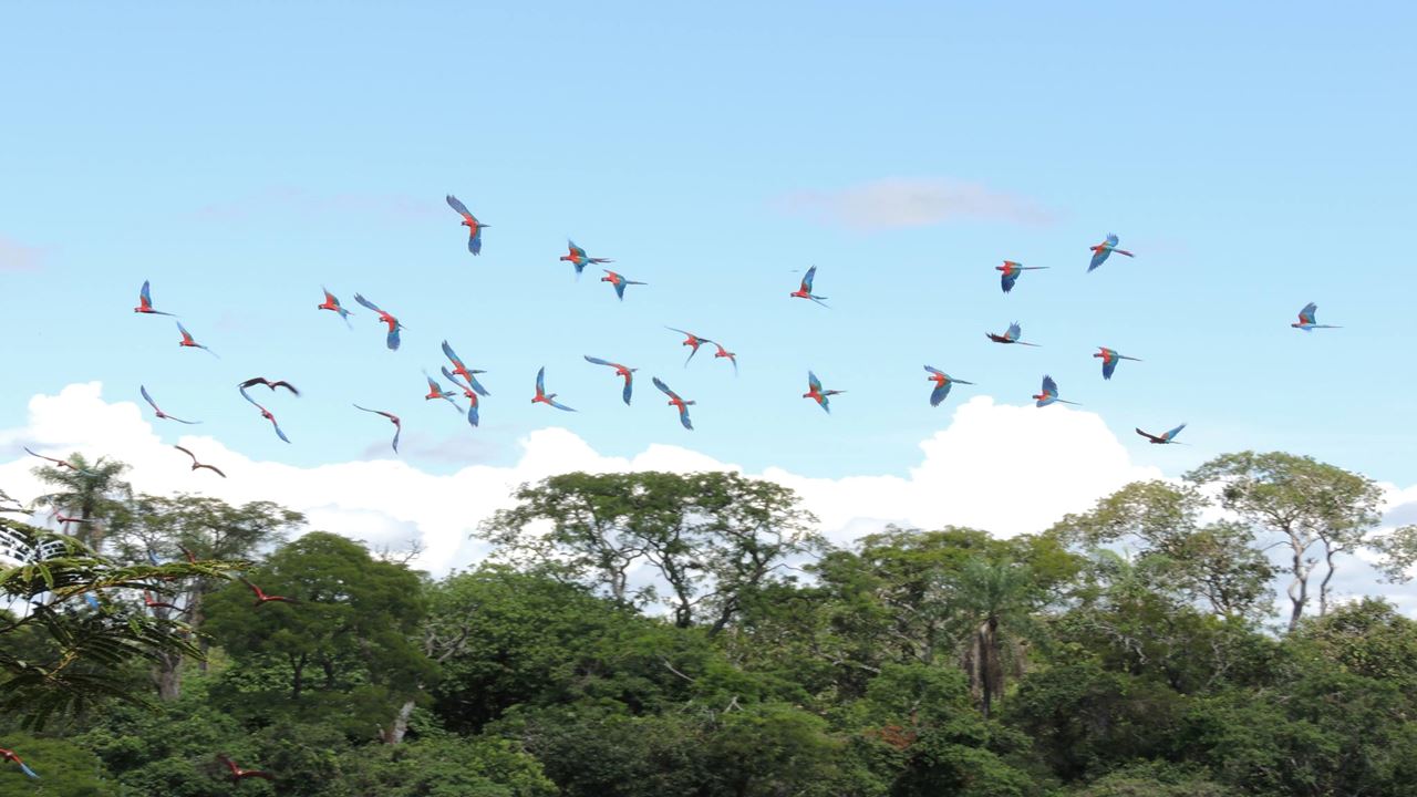 Ecoturismo Buraco Das Araras foto 3