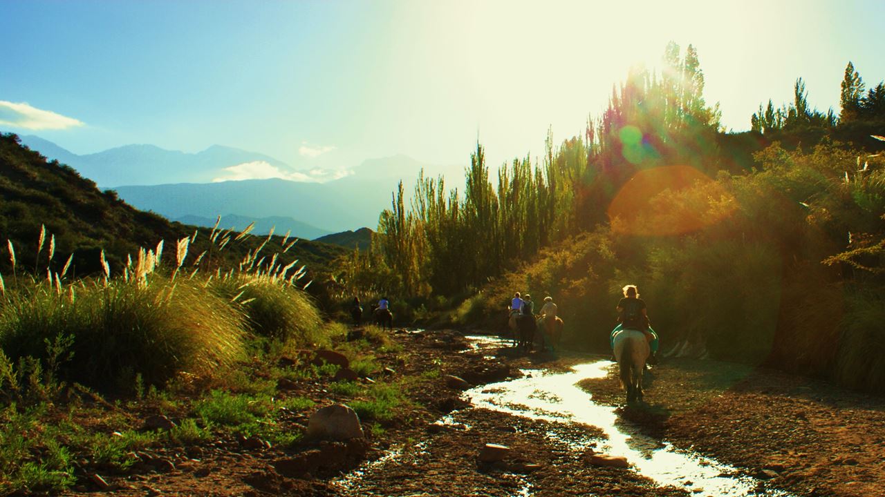 Horseback Riding At Sunset In Mendoza (2)