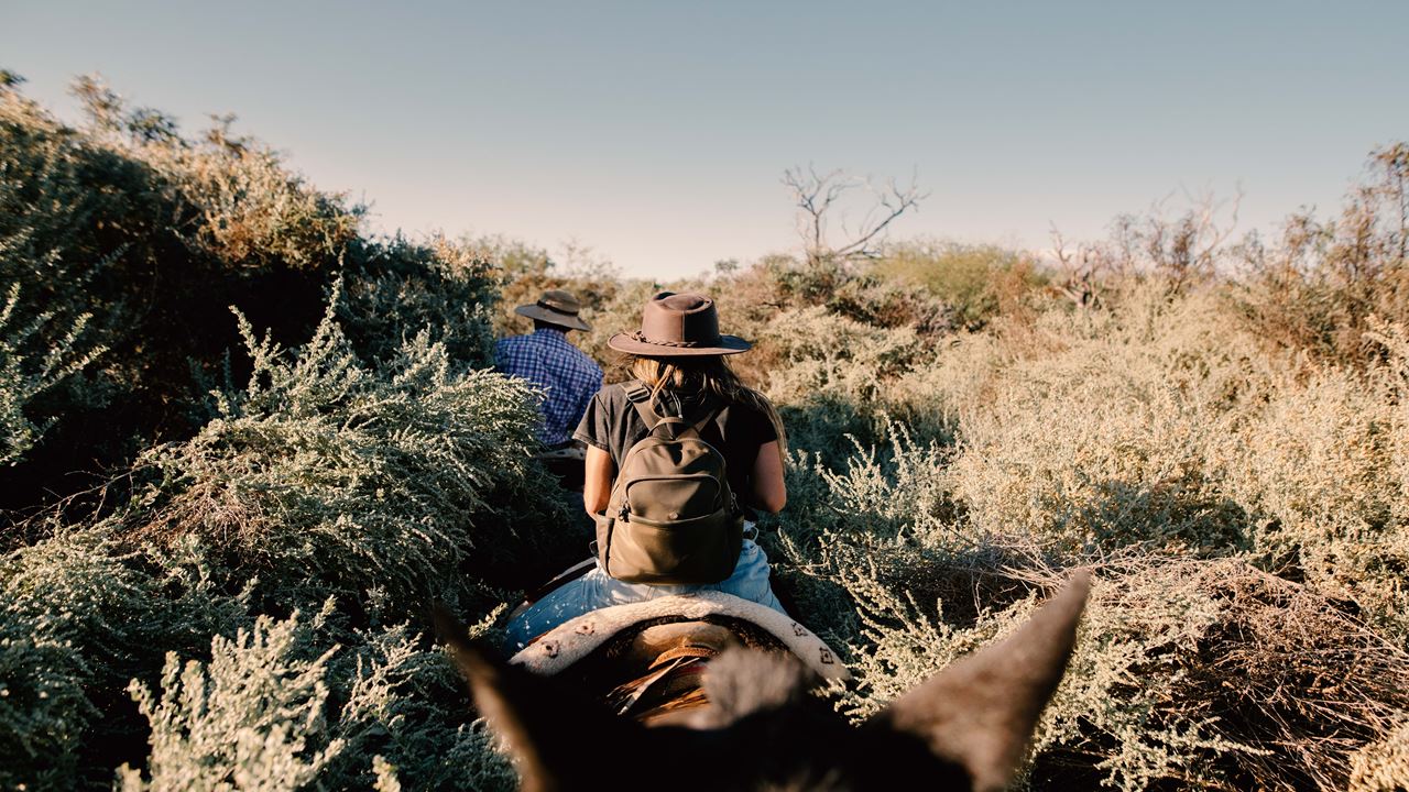 Cabalgata Con Degustación De Vinos Y Quesos En Bodega El Esteco foto 2