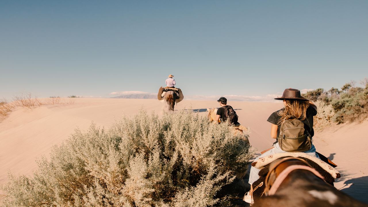 Cabalgata Con Degustación De Vinos Y Quesos En Bodega El Esteco foto 7