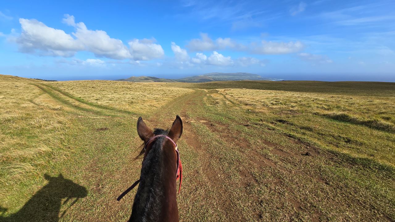 Horseback Riding On Easter Island foto 1