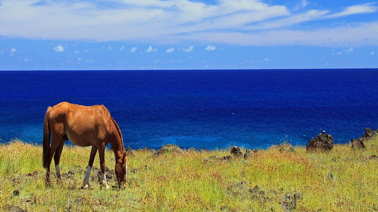 Horseback Riding On Easter Island foto 9