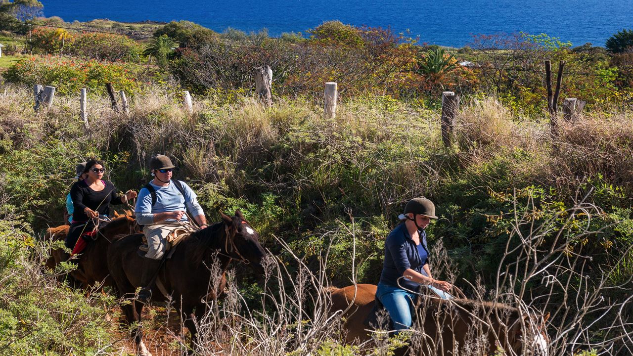 Horseback Riding On Easter Island foto 6