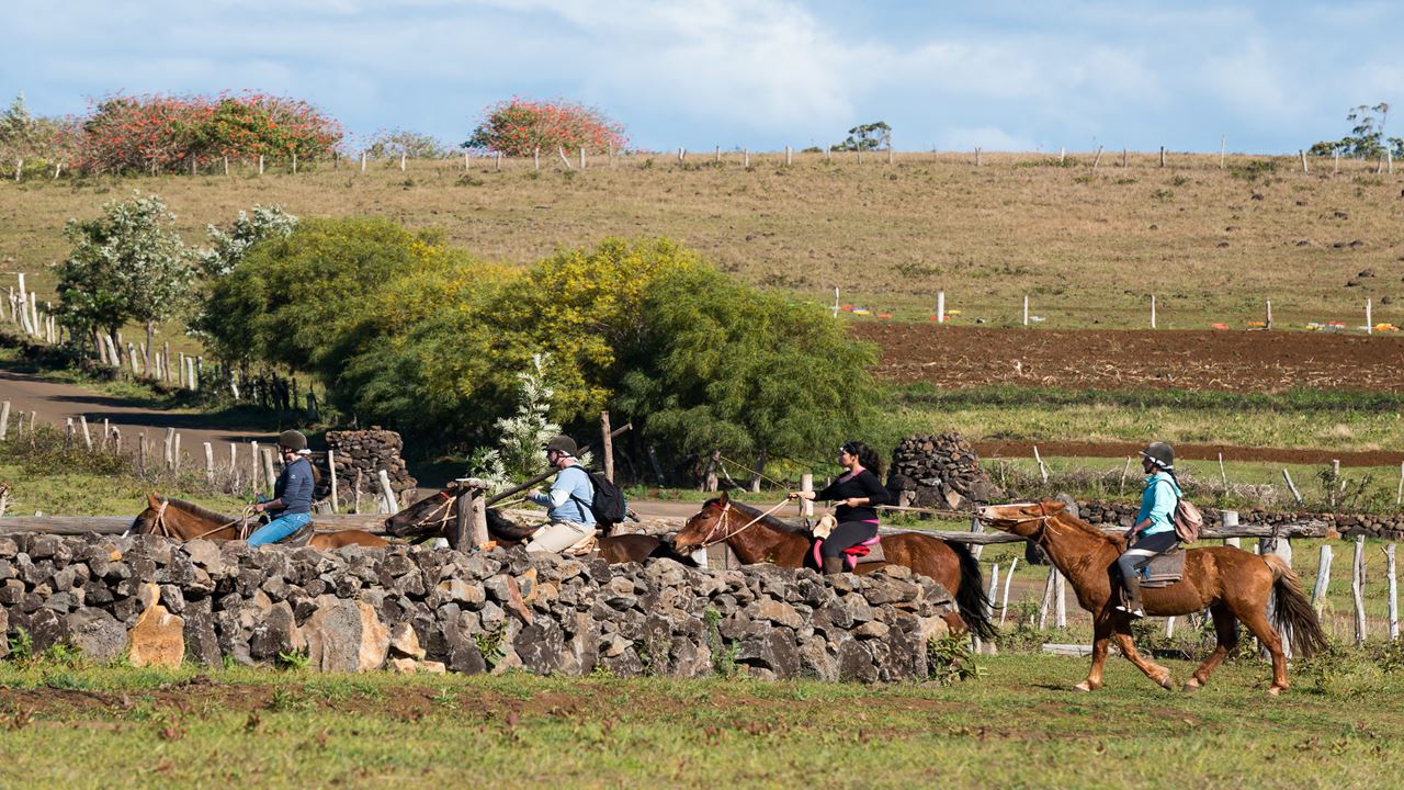 Horseback Riding On Easter Island foto 7