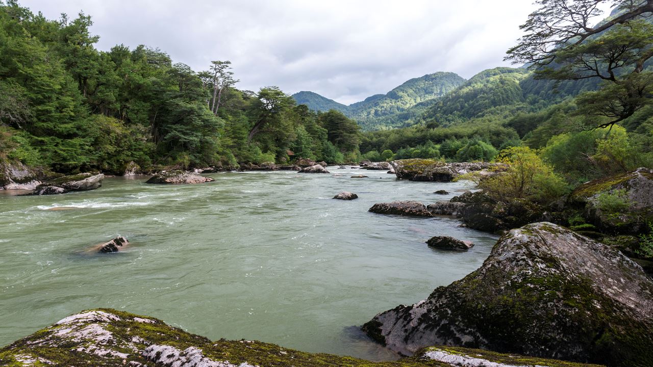 Passeio A Cavalo Panorâmico Pela Reserva Nacional Do Rio Simpson foto 2