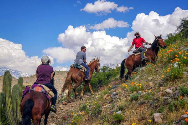 Passeio A Cavalo Panorâmico Pela Reserva Nacional Do Rio Simpson foto 3