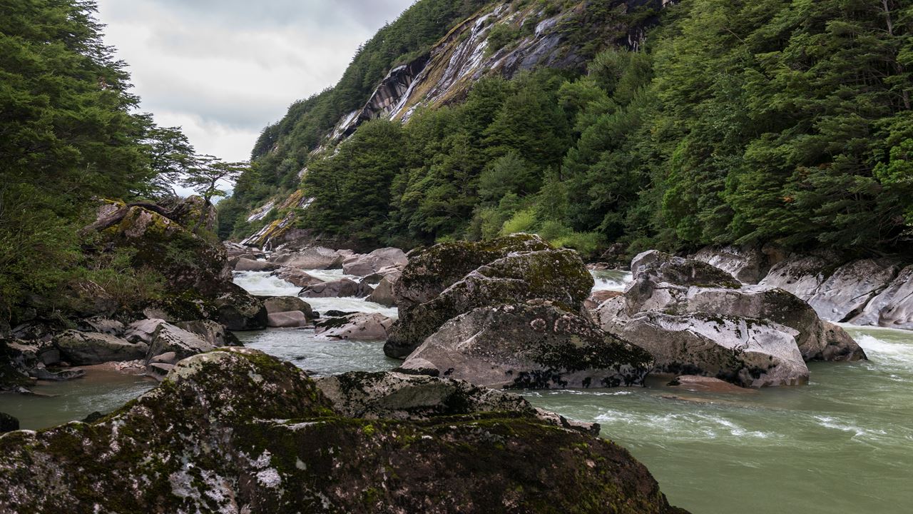Passeio A Cavalo Panorâmico Pela Reserva Nacional Do Rio Simpson foto 5