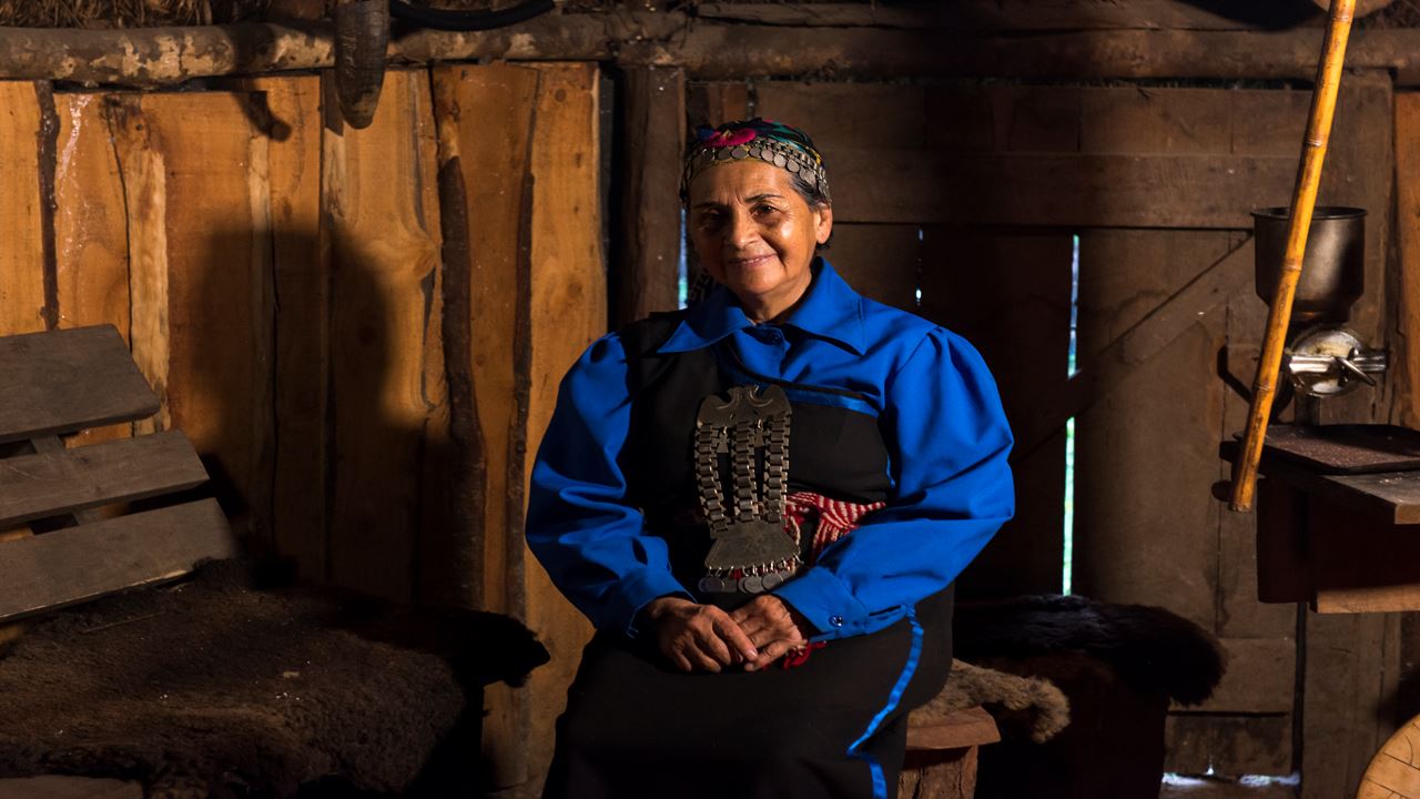 Cabalgata Mapuche Pucon Antilco O El Claro foto 5