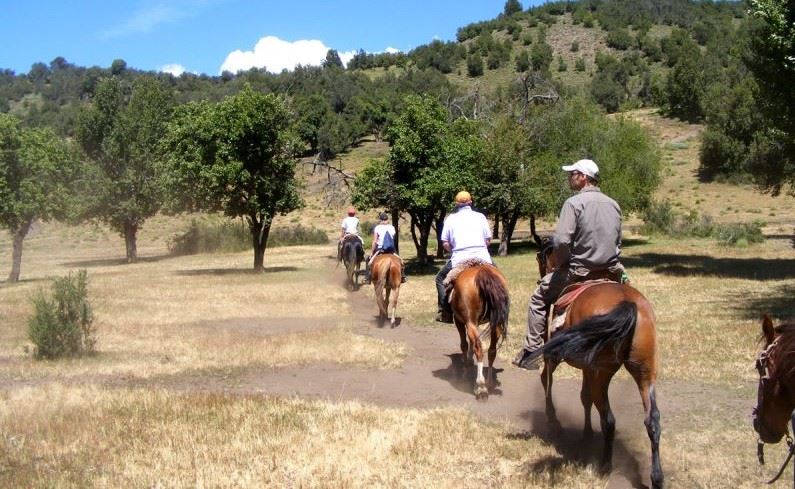 Passeio Pela Comunidade Mapuche foto 6