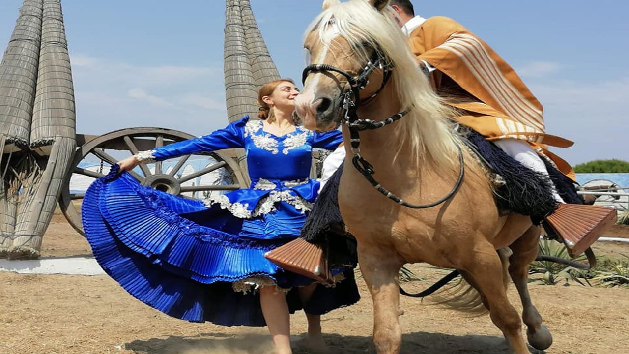 Cavalo Peruano De Paso E Marinera Com Almoço foto 5