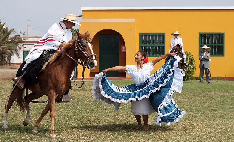 Cavalo Peruano De Paso E Marinera Com Almoço foto 2