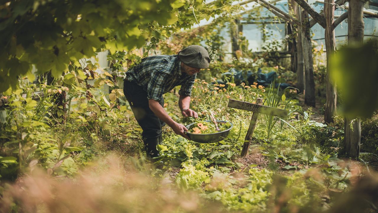 Waterfall Hike And Microscopic Nature Experience foto 7