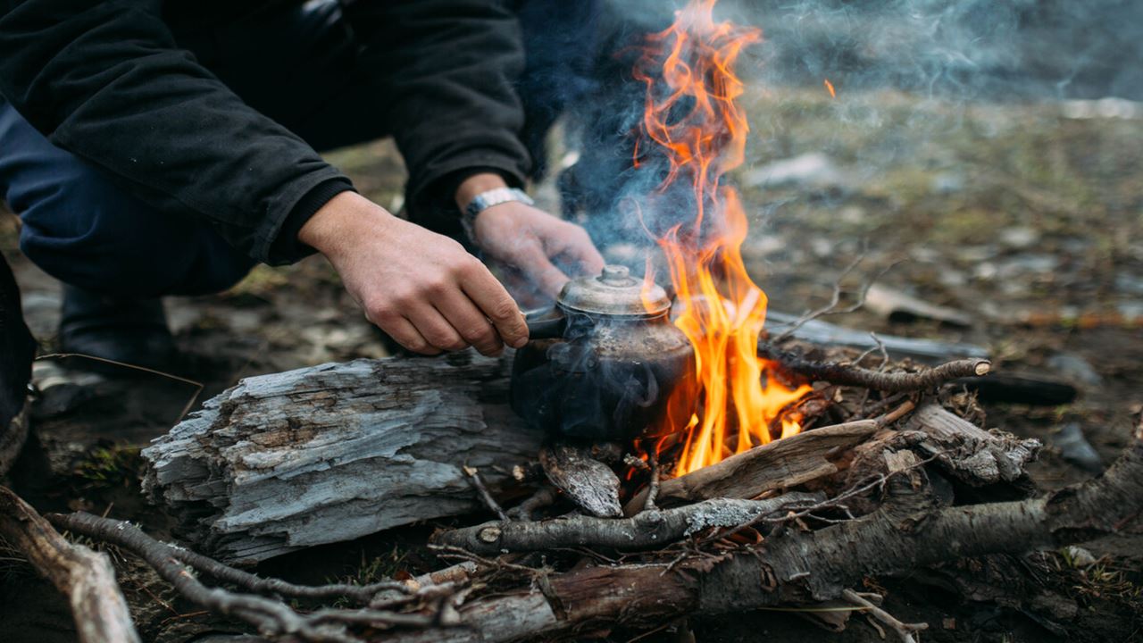 Waterfall Hike And Microscopic Nature Experience foto 4