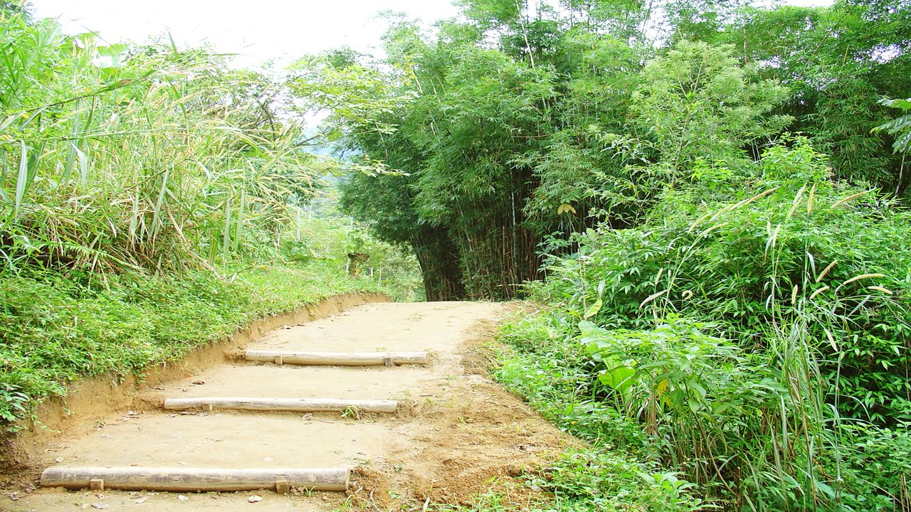 Caminata Por Caminho Do Ouro Desde Paraty Cunha foto 3