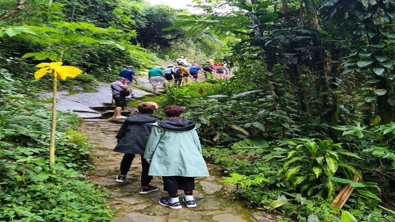 Caminata Por Caminho Do Ouro Desde Paraty Cunha foto 9