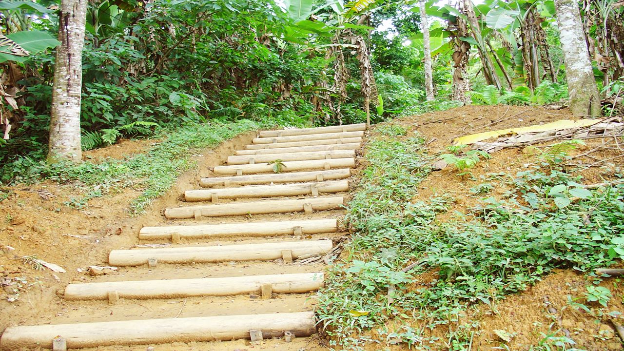 Caminata Por Caminho Do Ouro Desde Paraty Cunha foto 5
