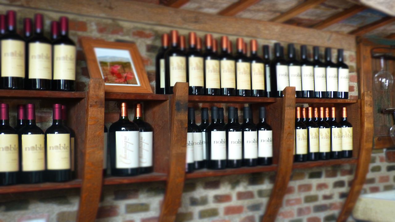 Wine Road In Traslassierra (3)