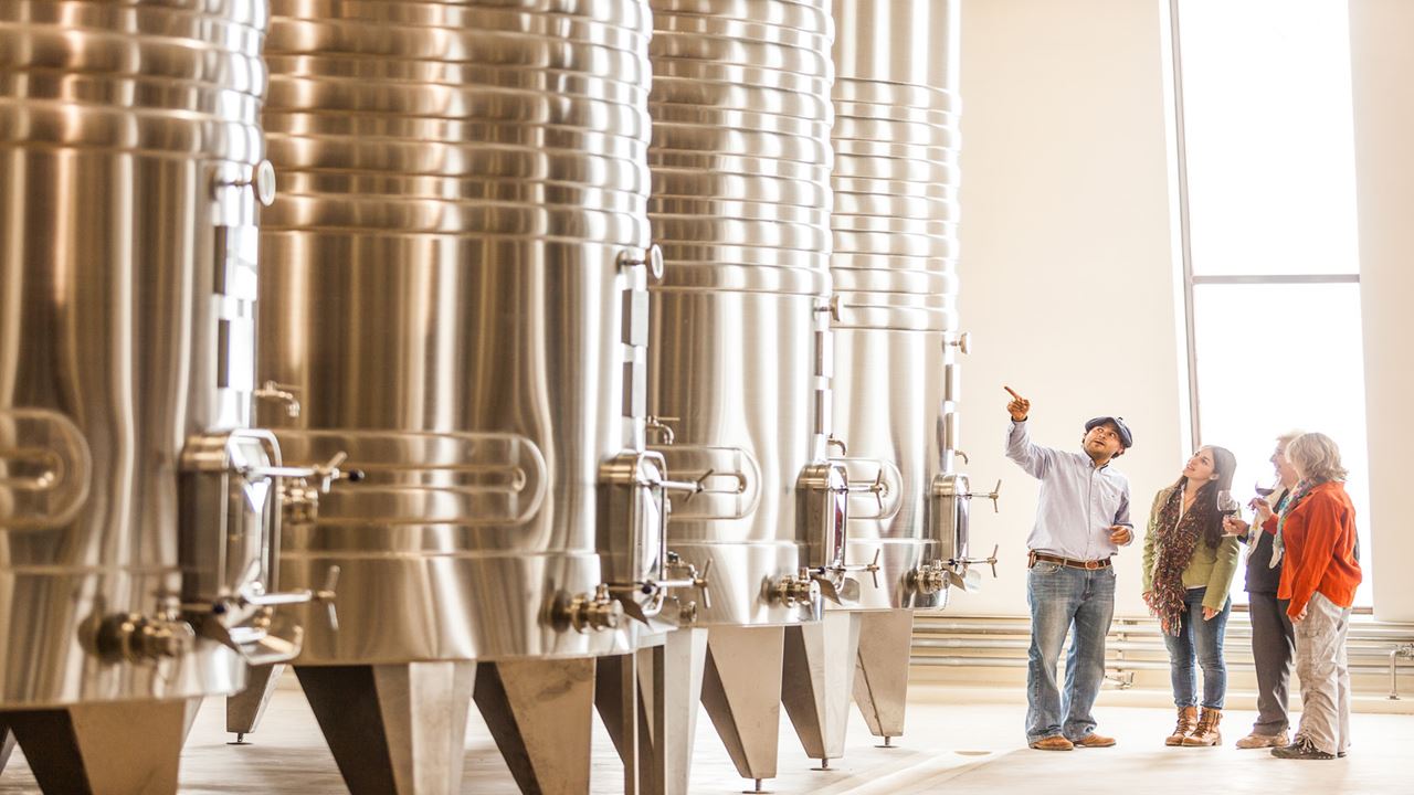 Estrada Do Vinho Premium foto 2