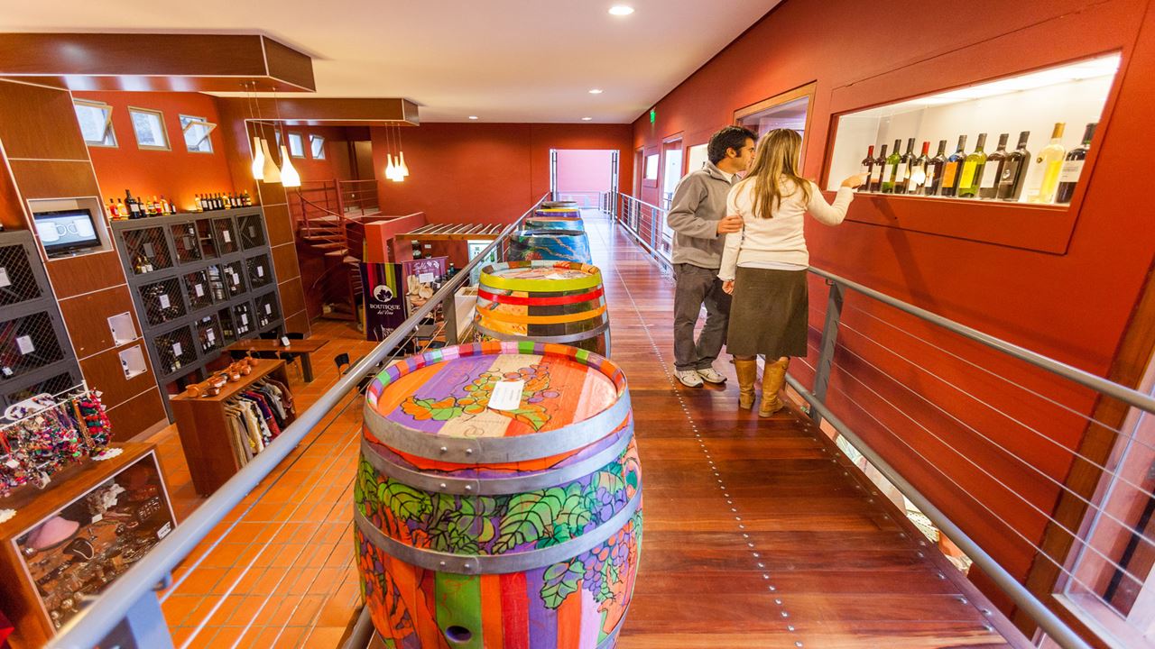 Estrada Do Vinho Premium foto 5