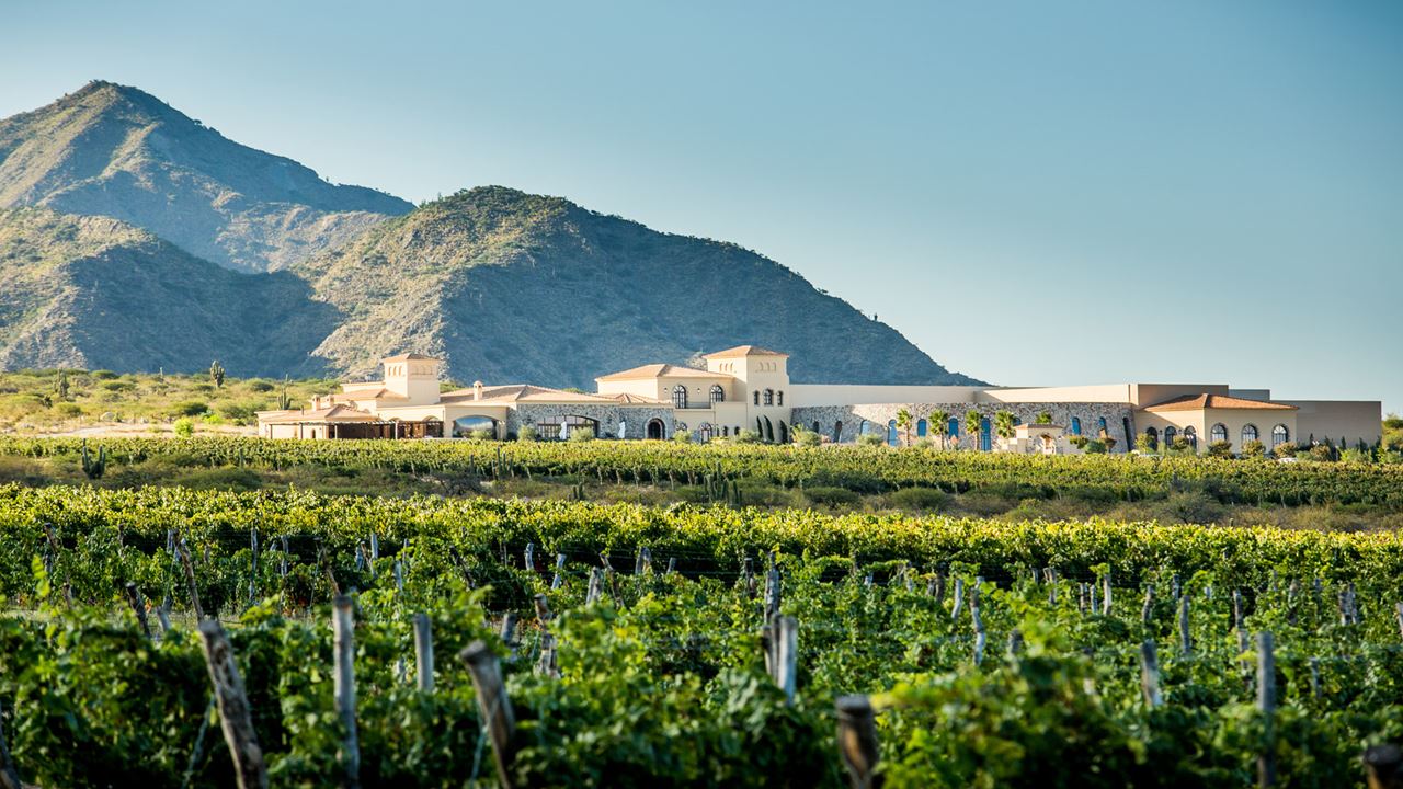 Estrada Do Vinho Premium foto 4