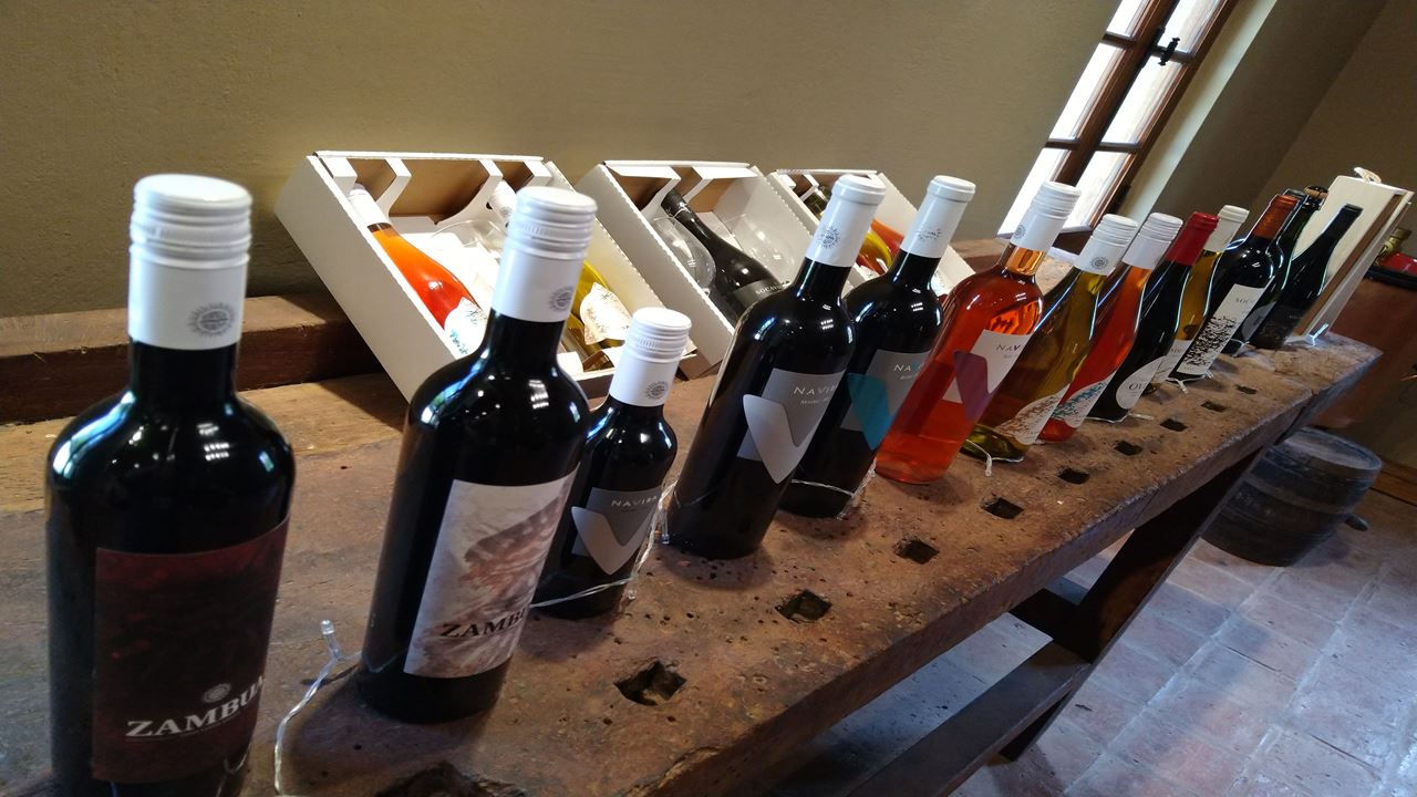 Wine Roads In Colonia Caroya (1)
