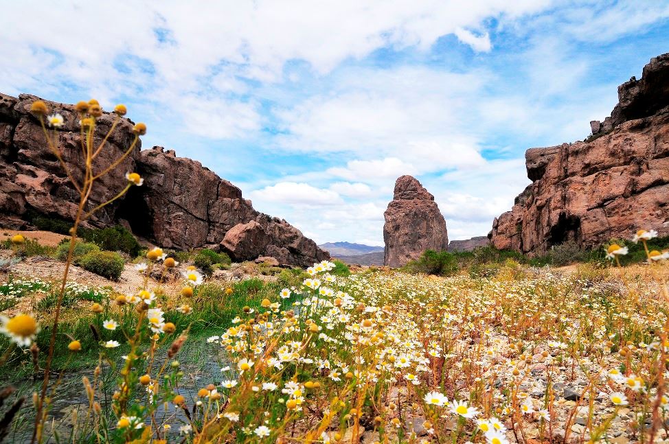 Canadão De Vultura E Parada De Pedra foto 1