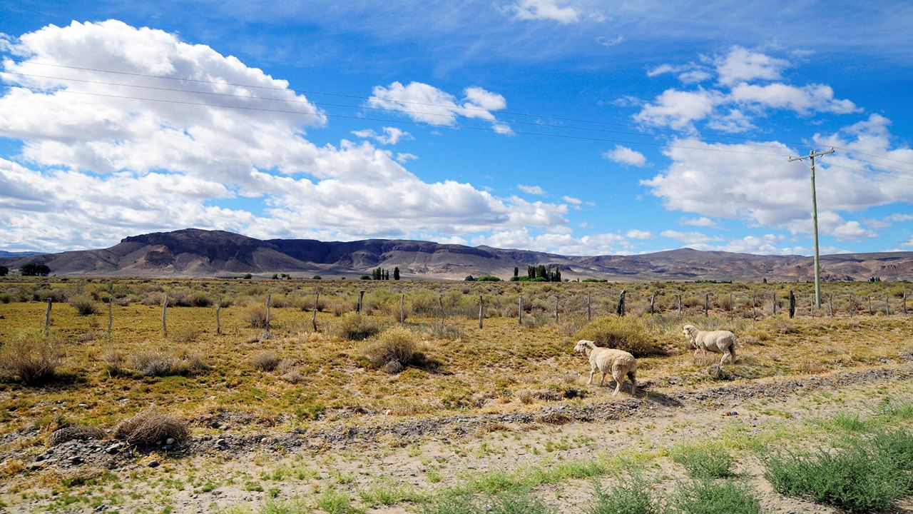 Canadão De Vultura E Parada De Pedra foto 6