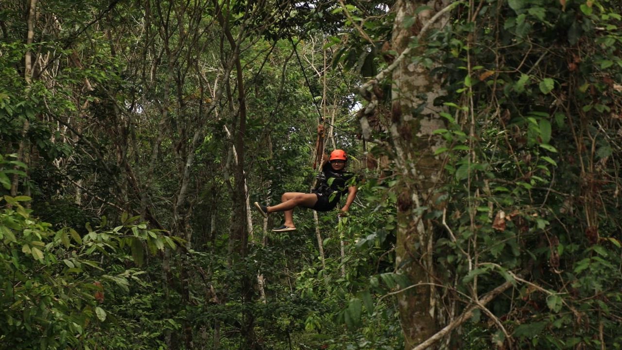 Canopy, Ponte Pênsil E Centro De Resgate De Animais foto 10