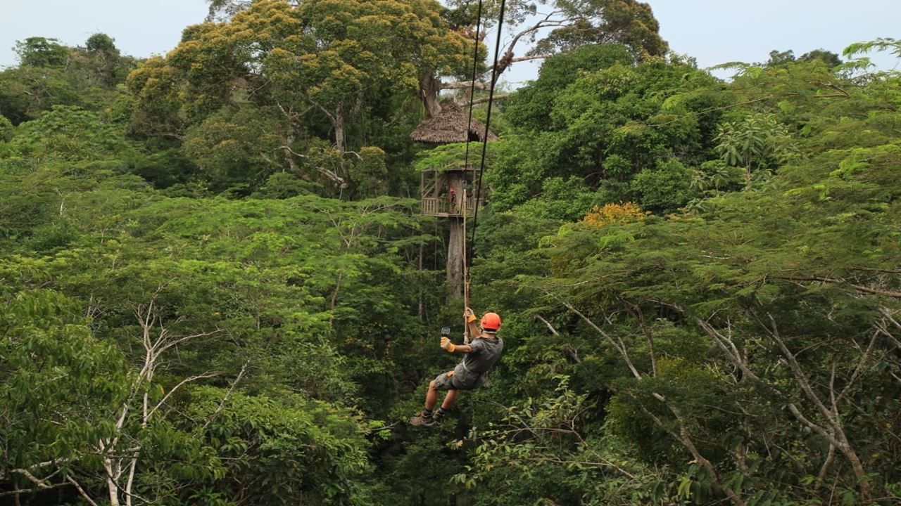 Canopy, Ponte Pênsil E Centro De Resgate De Animais foto 1