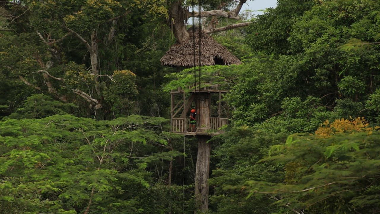 Canopy, Ponte Pênsil E Centro De Resgate De Animais foto 7