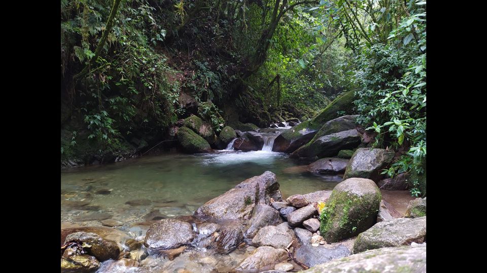 Cachoeira La Miel: Caminhadas E Aventura Em La Ceja foto 7