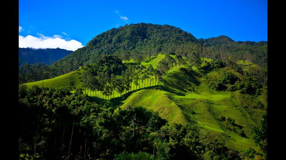 Cachoeira La Miel: Caminhadas E Aventura Em La Ceja foto 4