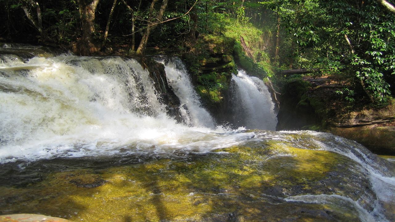 Presidente Figueiredo Waterfalls (1)