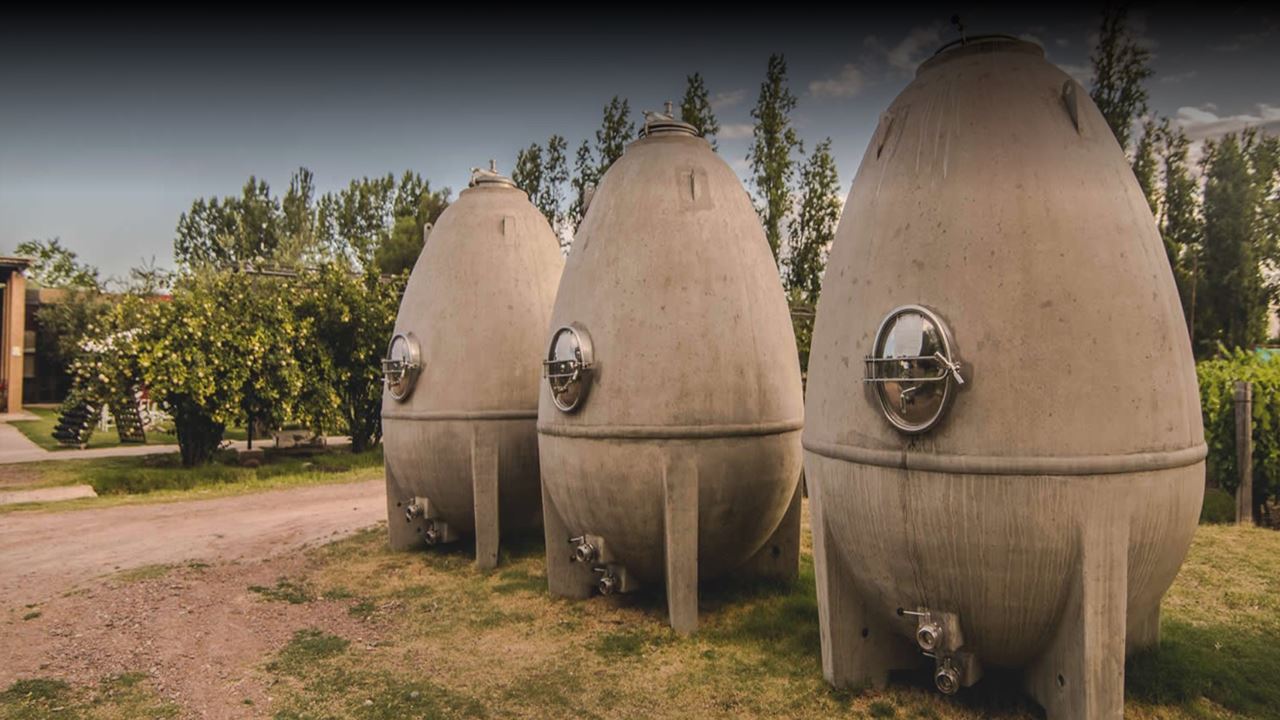 Wine Tasting At Casa Vigil Winery (1)