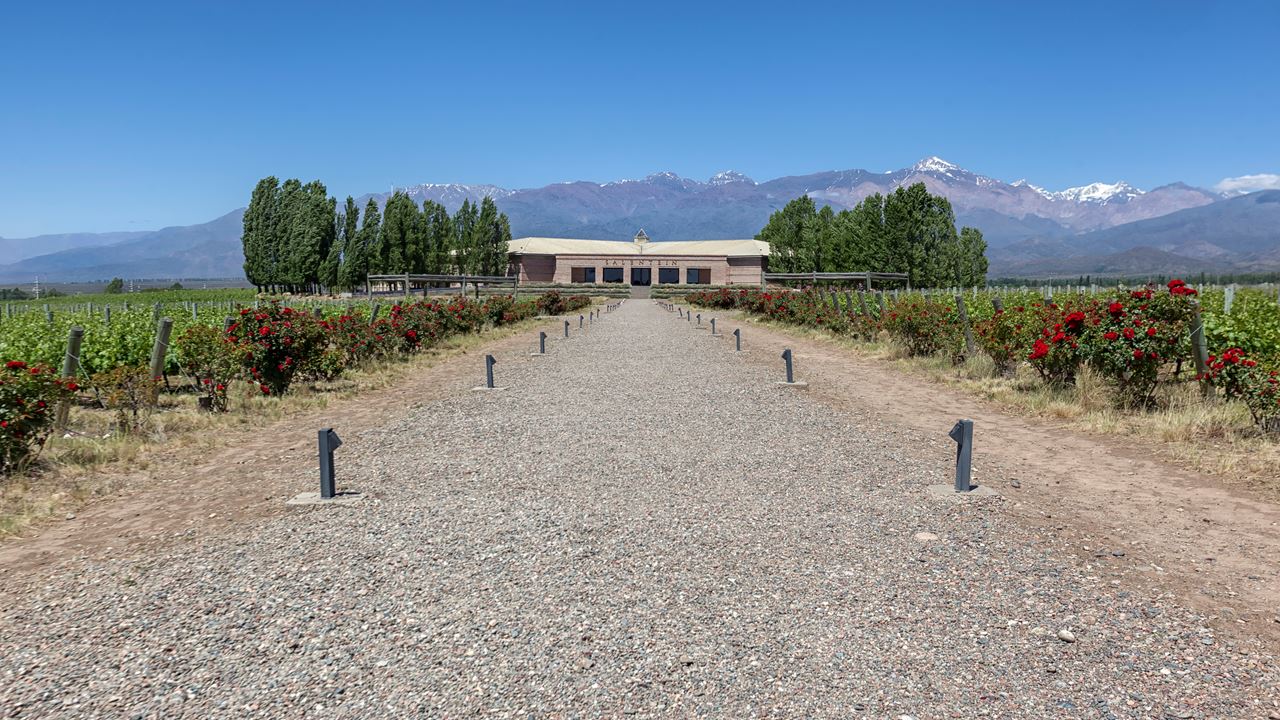 High-end Wine Tasting And Lunch In The Uco Valley (7)