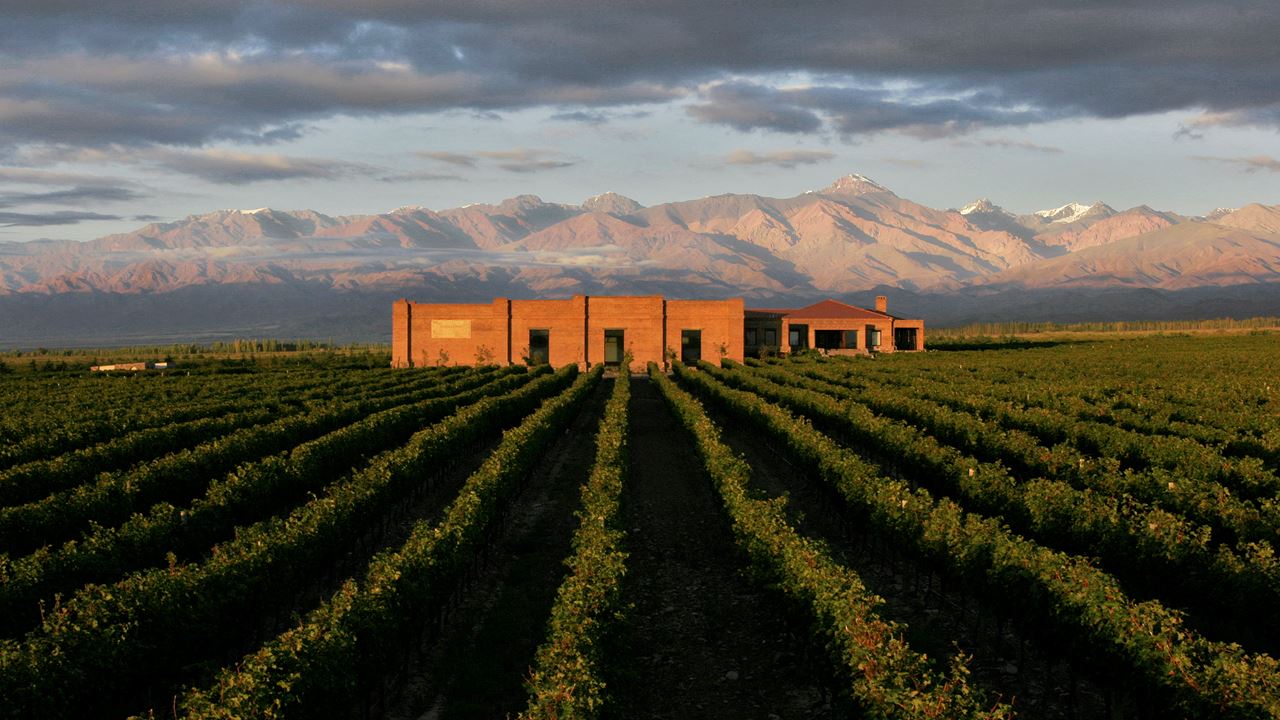 High-end Wine Tasting And Lunch In The Uco Valley (4)
