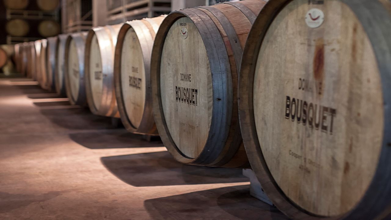 High-end Wine Tasting And Lunch In The Uco Valley (3)