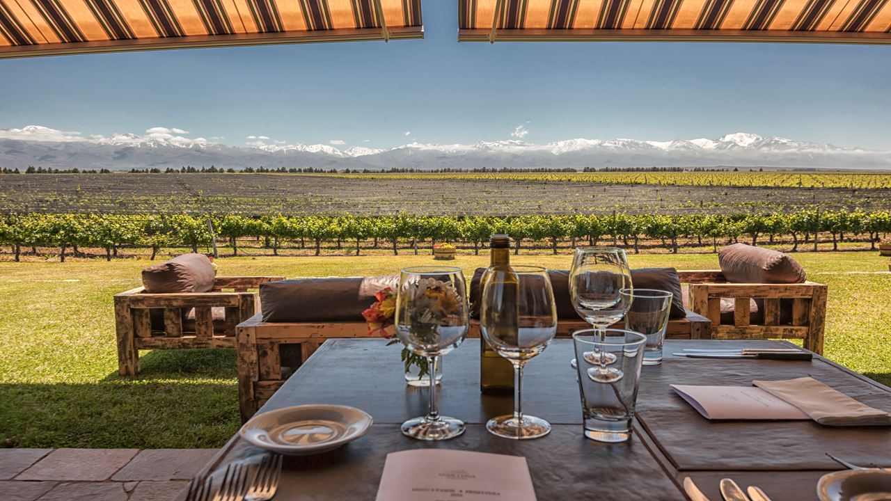 High-end Wine Tasting And Lunch In The Uco Valley (5)