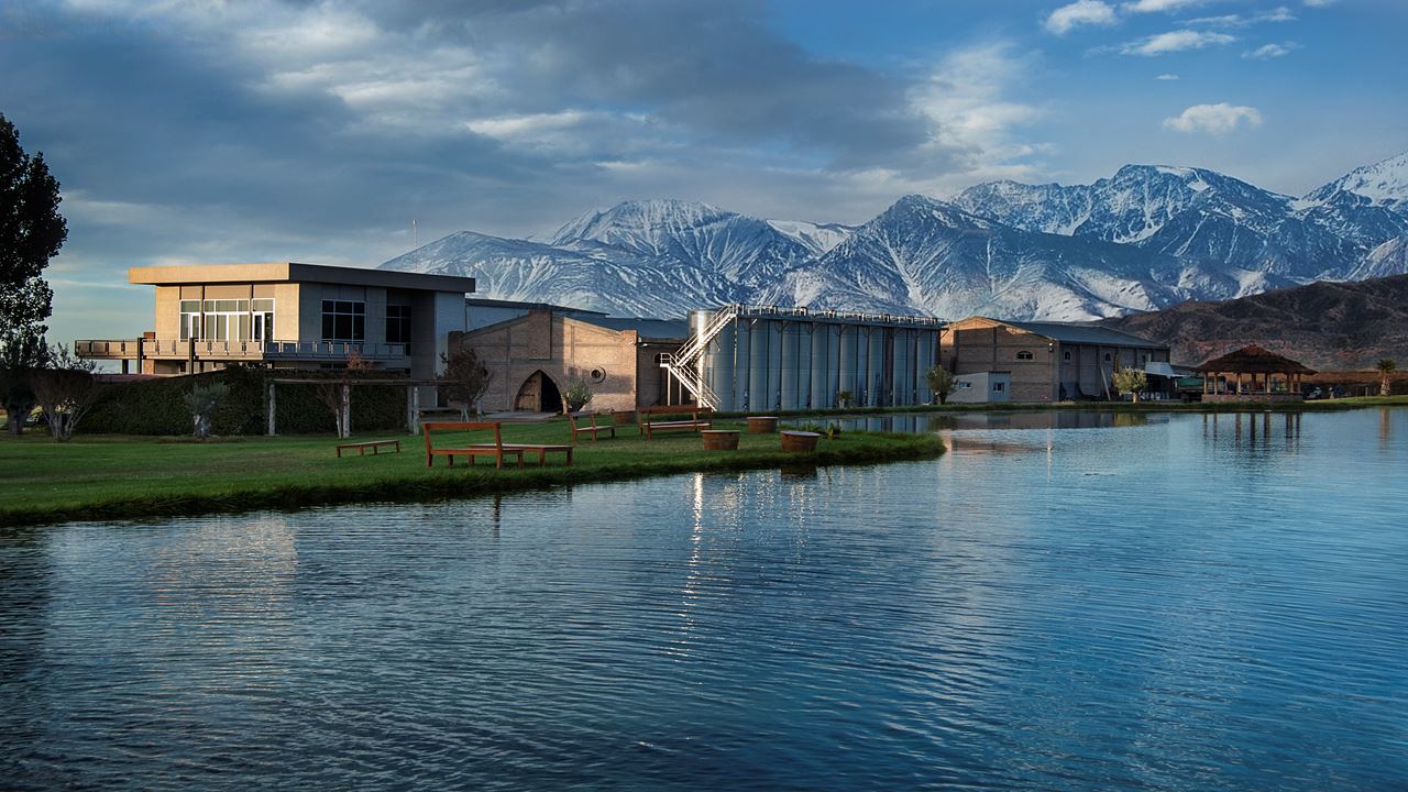 High-end Wine Tasting And Lunch In The Uco Valley (2)