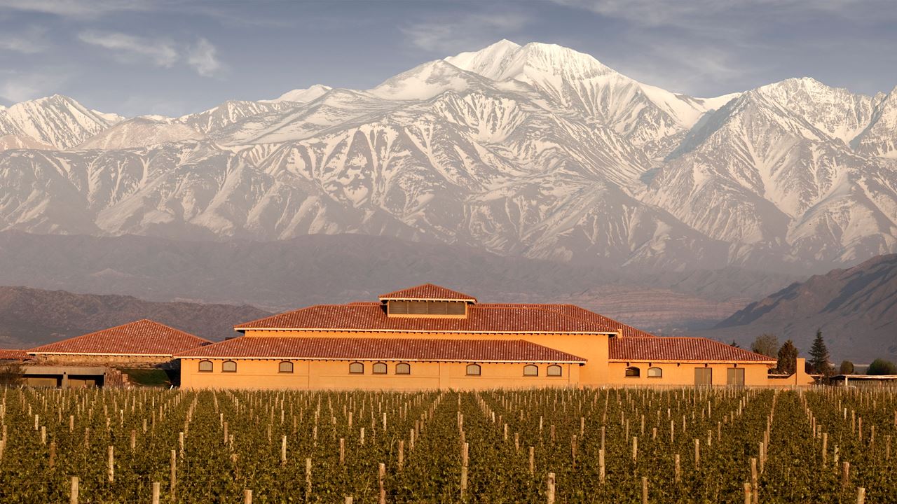 Wine Tasting And Lunch In Lujan De Cuyo (7)
