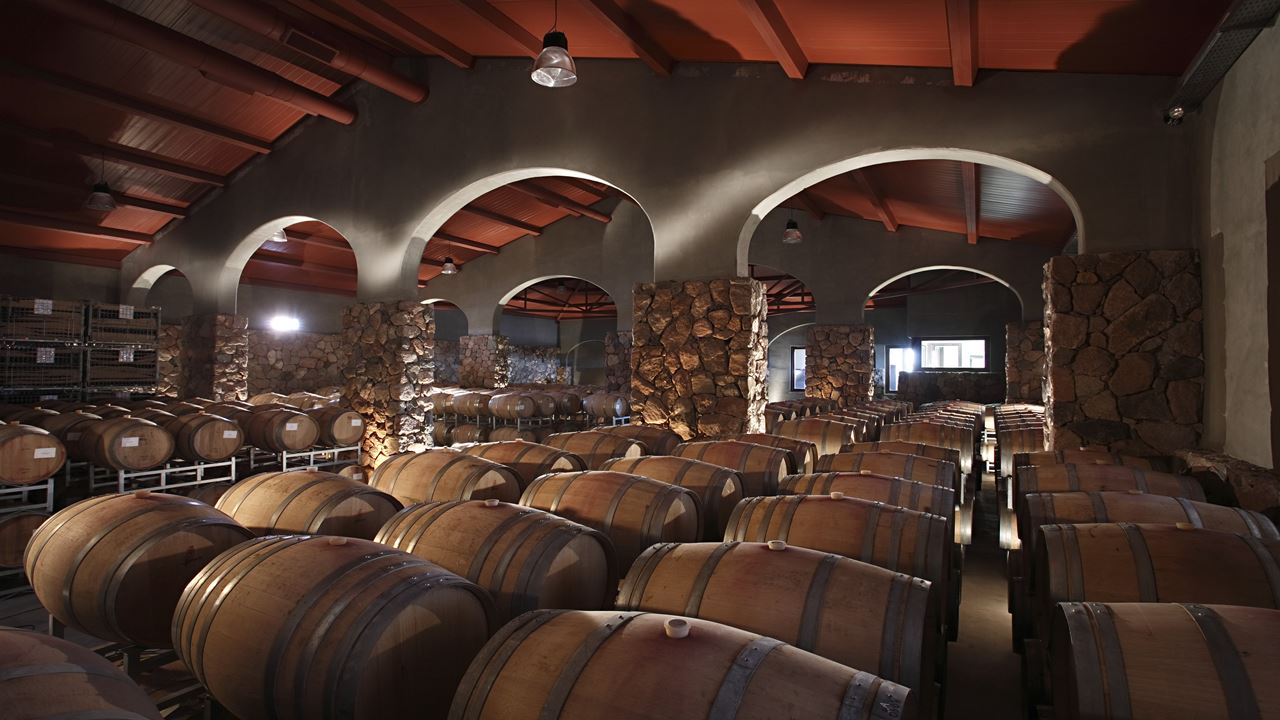 Wine Tasting And Lunch In Lujan De Cuyo (3)