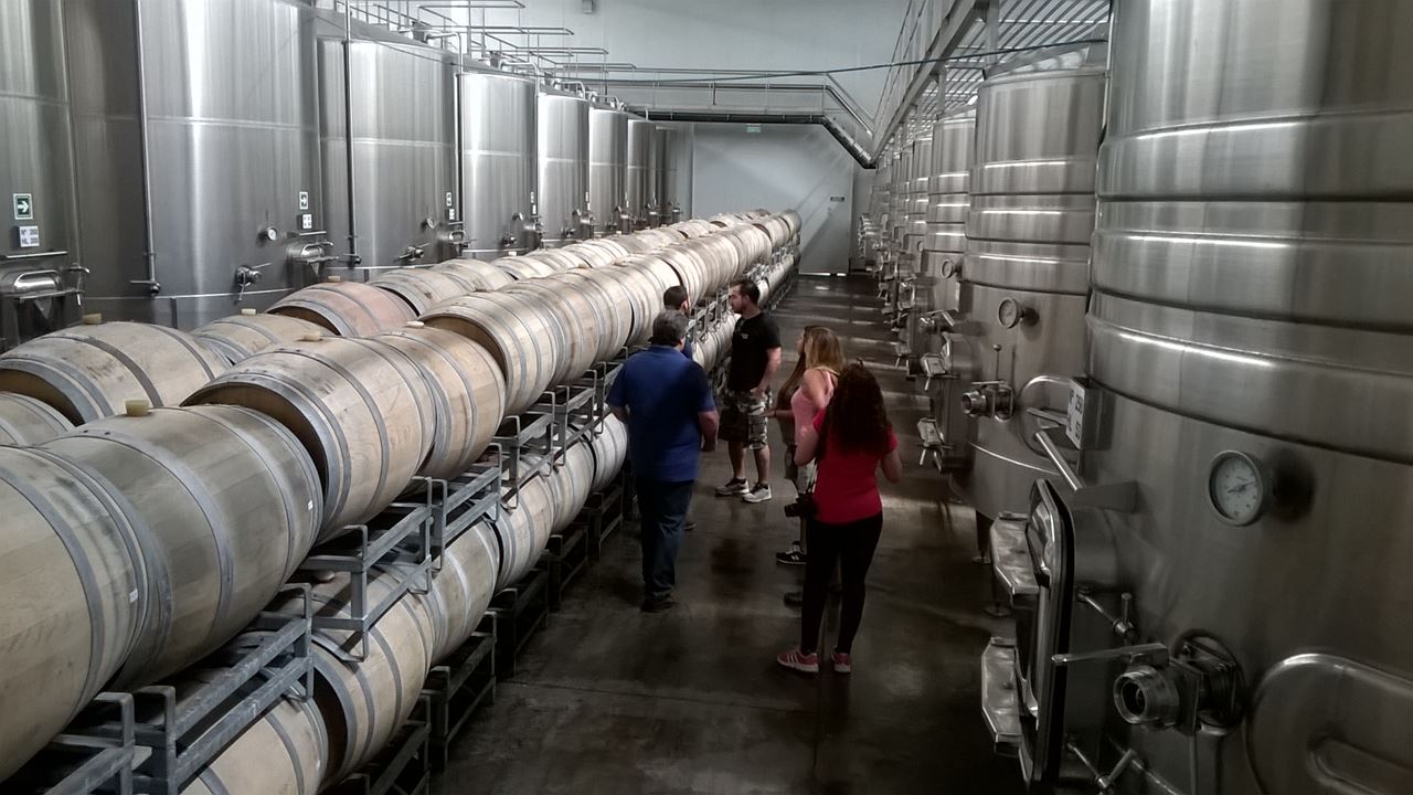 Wine Tasting And Lunch In Maipu (3)