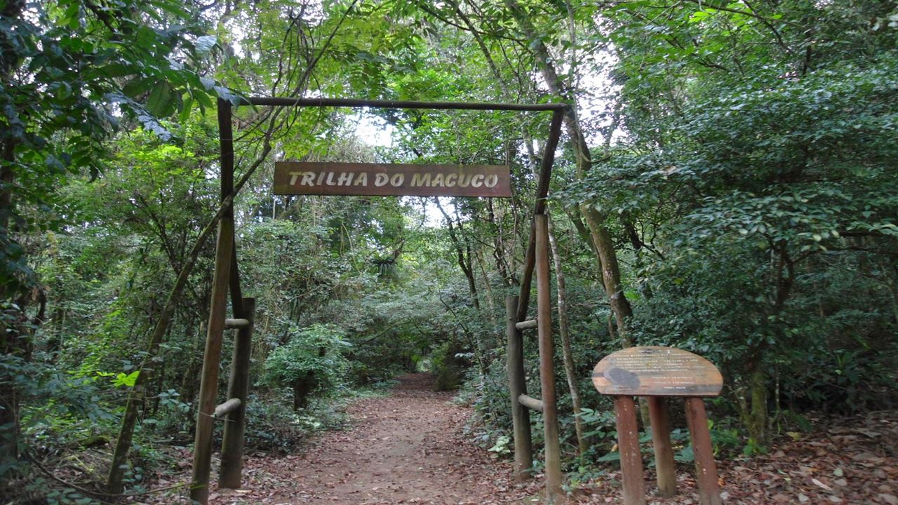 Cataratas Brasileiras Com Macuco Safari foto 7