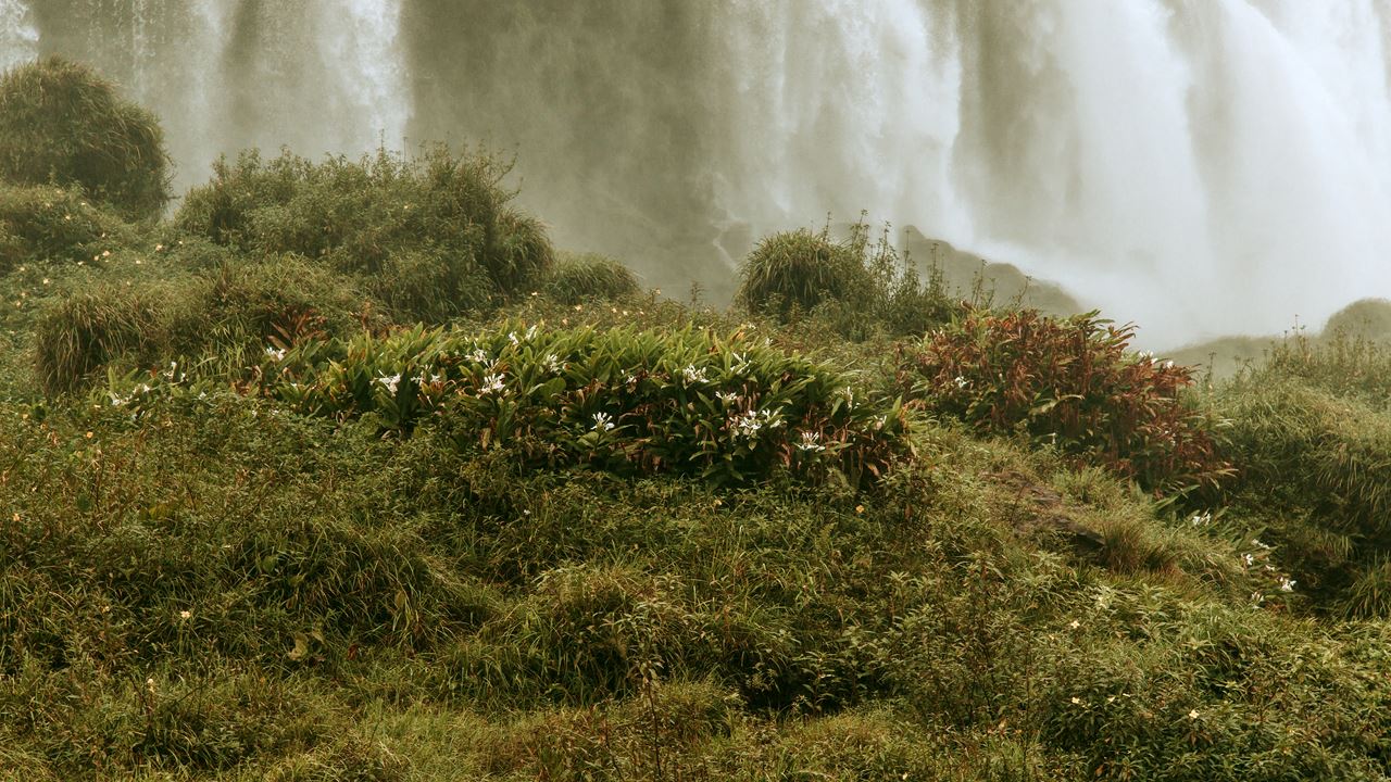 Cataratas Brasileiras Com Macuco Safari foto 4