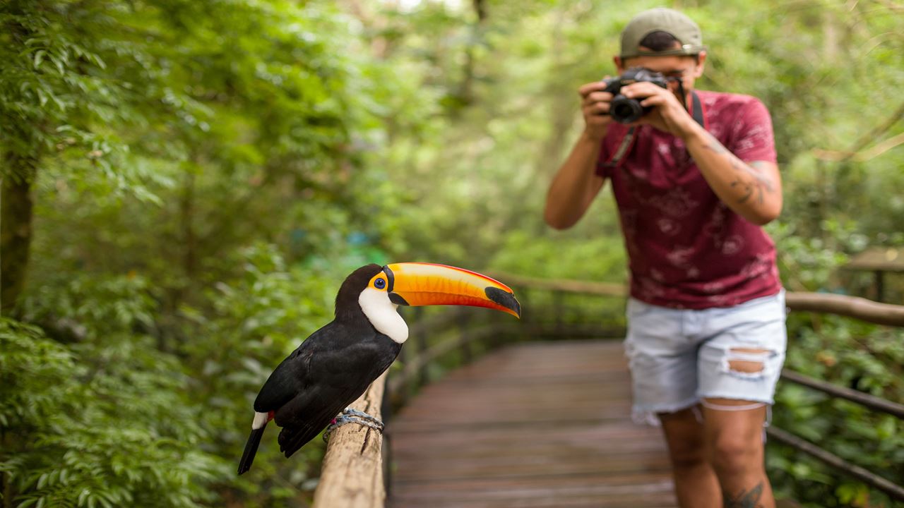 Cataratas Brasileiras Com Parque Das Aves foto 3